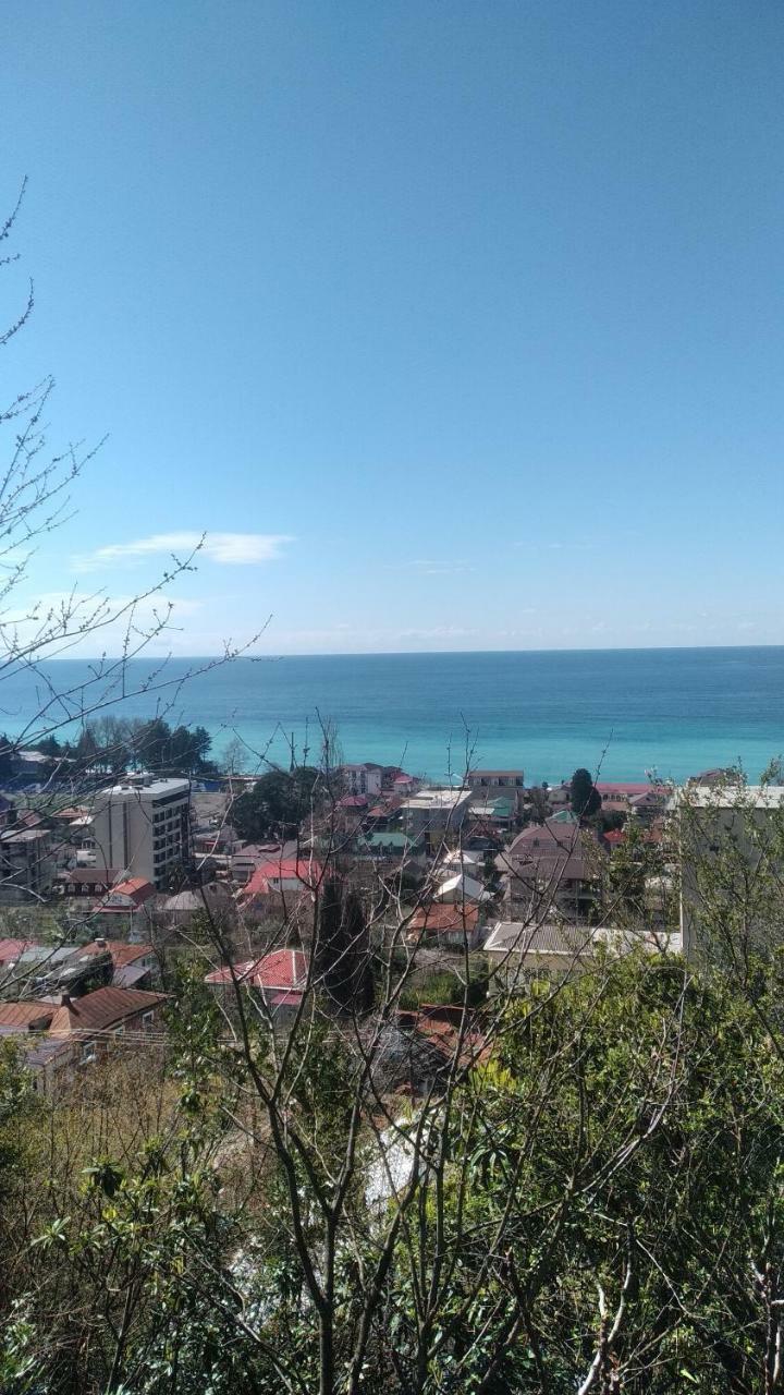 Отдых У Анаиды Gagra Esterno foto