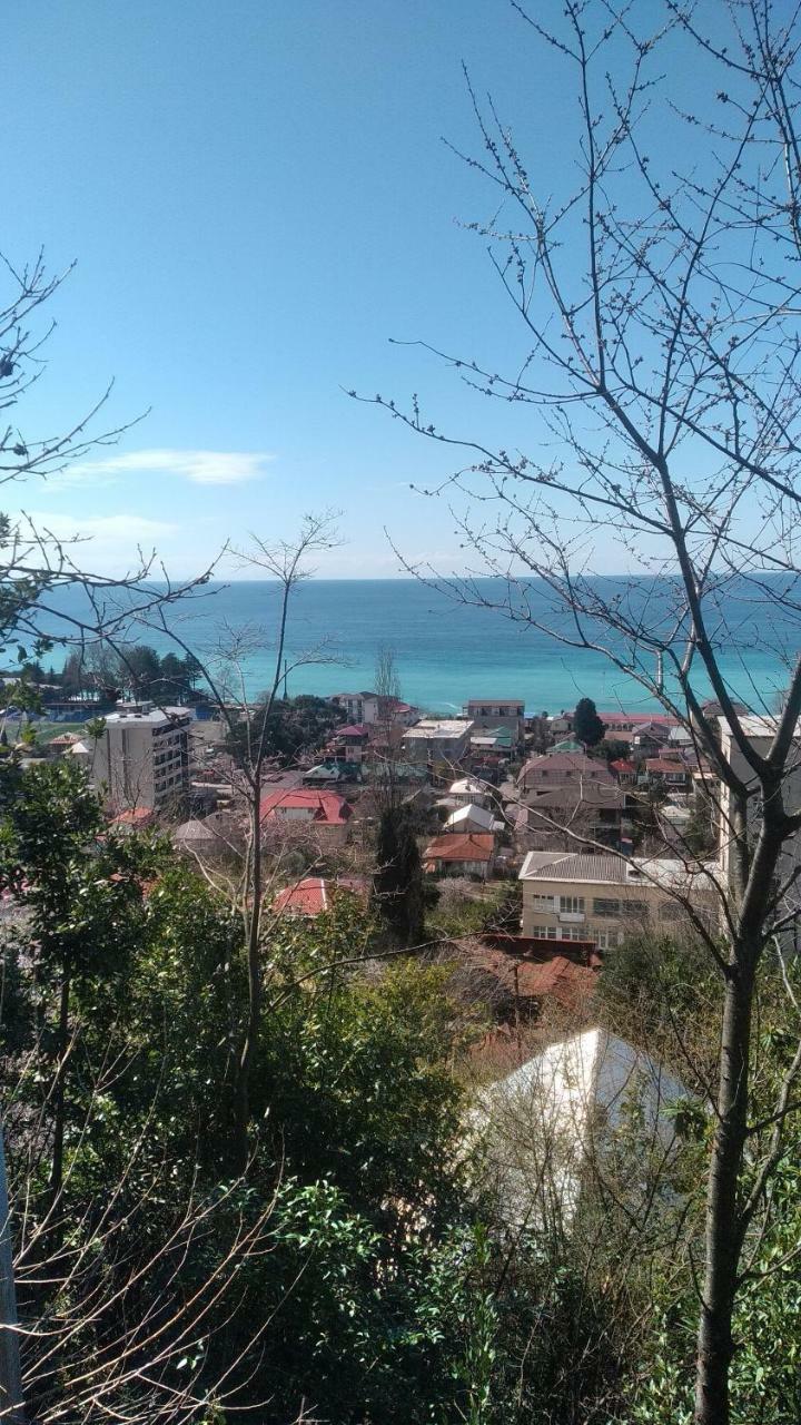Отдых У Анаиды Gagra Esterno foto